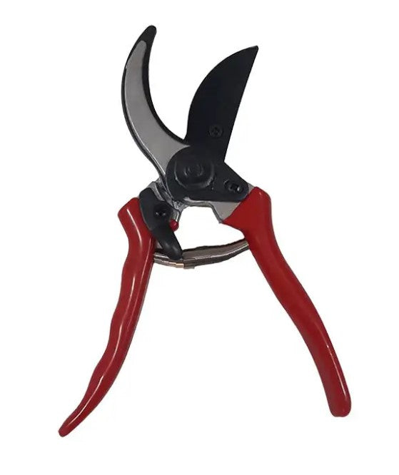 Pruning Shear_1